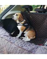 tapis coffre protection chien