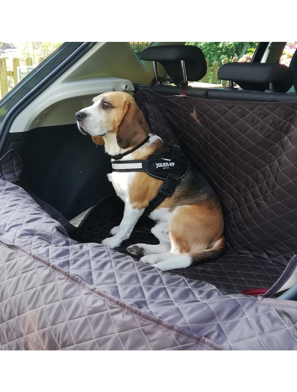 Tapis Protection Coffre Voiture Chien - Cover Company France