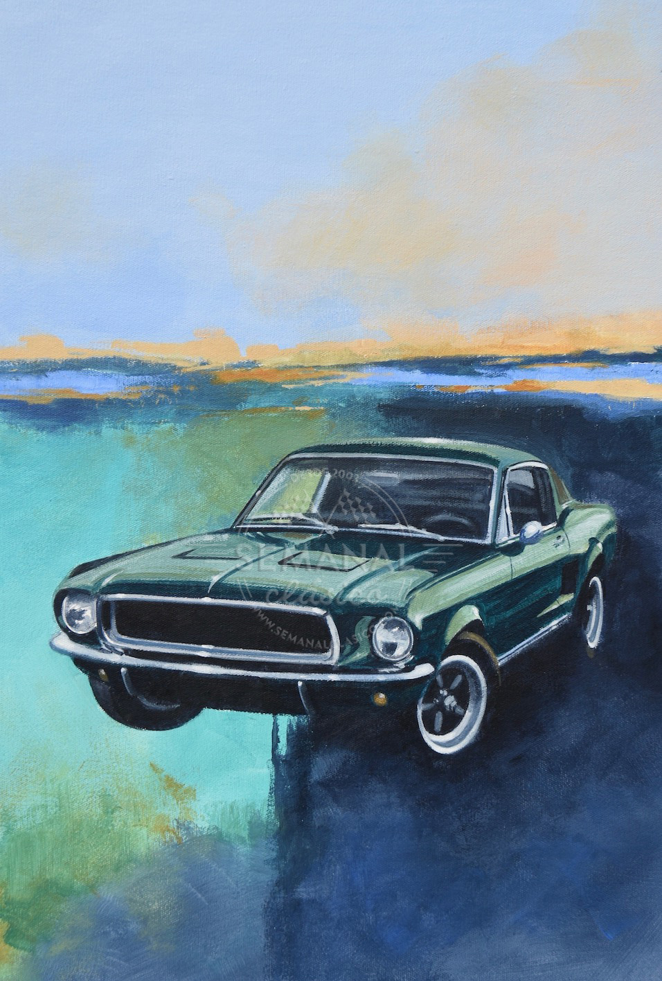 Housse et Accessoires pour Ford Mustang Cover Company France