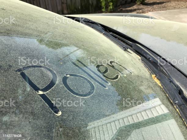 laver pollen de votre carrosserie auto