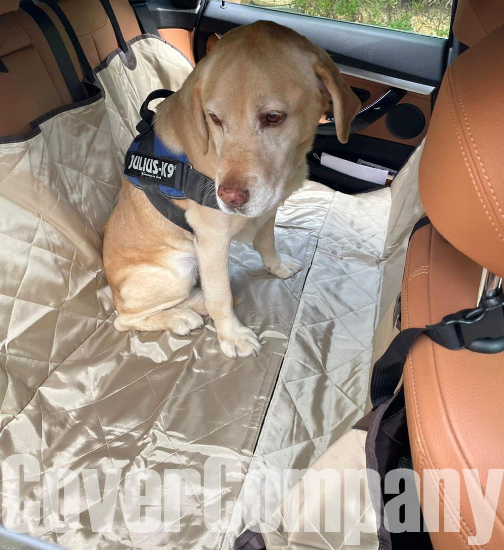 Voyager avec son Chien en Toute Sécurité : Dispositifs et Tapis de  Protection Auto - Cover Company France