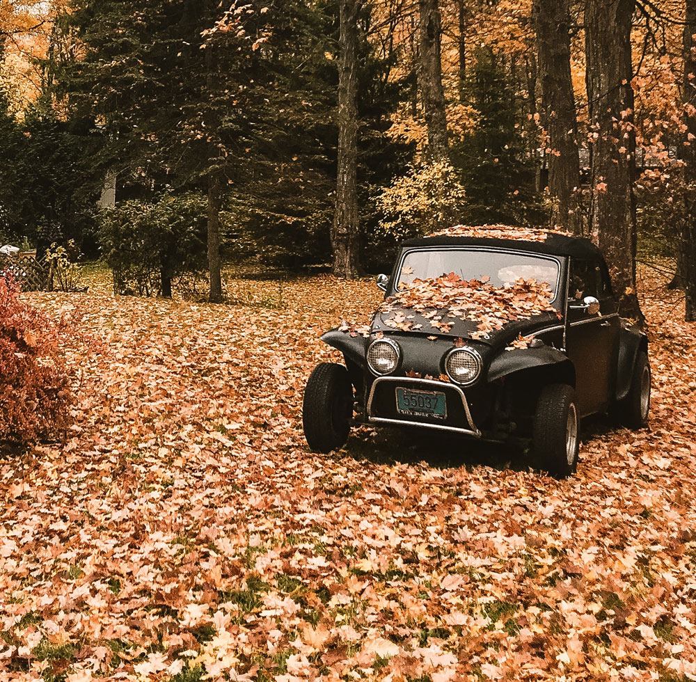 degats feuilles automne voiture